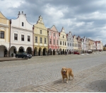 P1010577.JPG