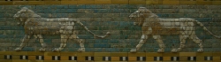 CIMG0215.JPG